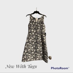 NWT Adrianna Papell Dress - Size 8